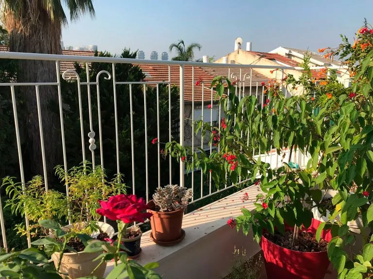 מעקות ברזל למרפסת